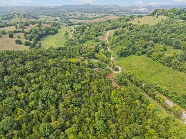 an aerial view of residential houses with outdoor space and trees
