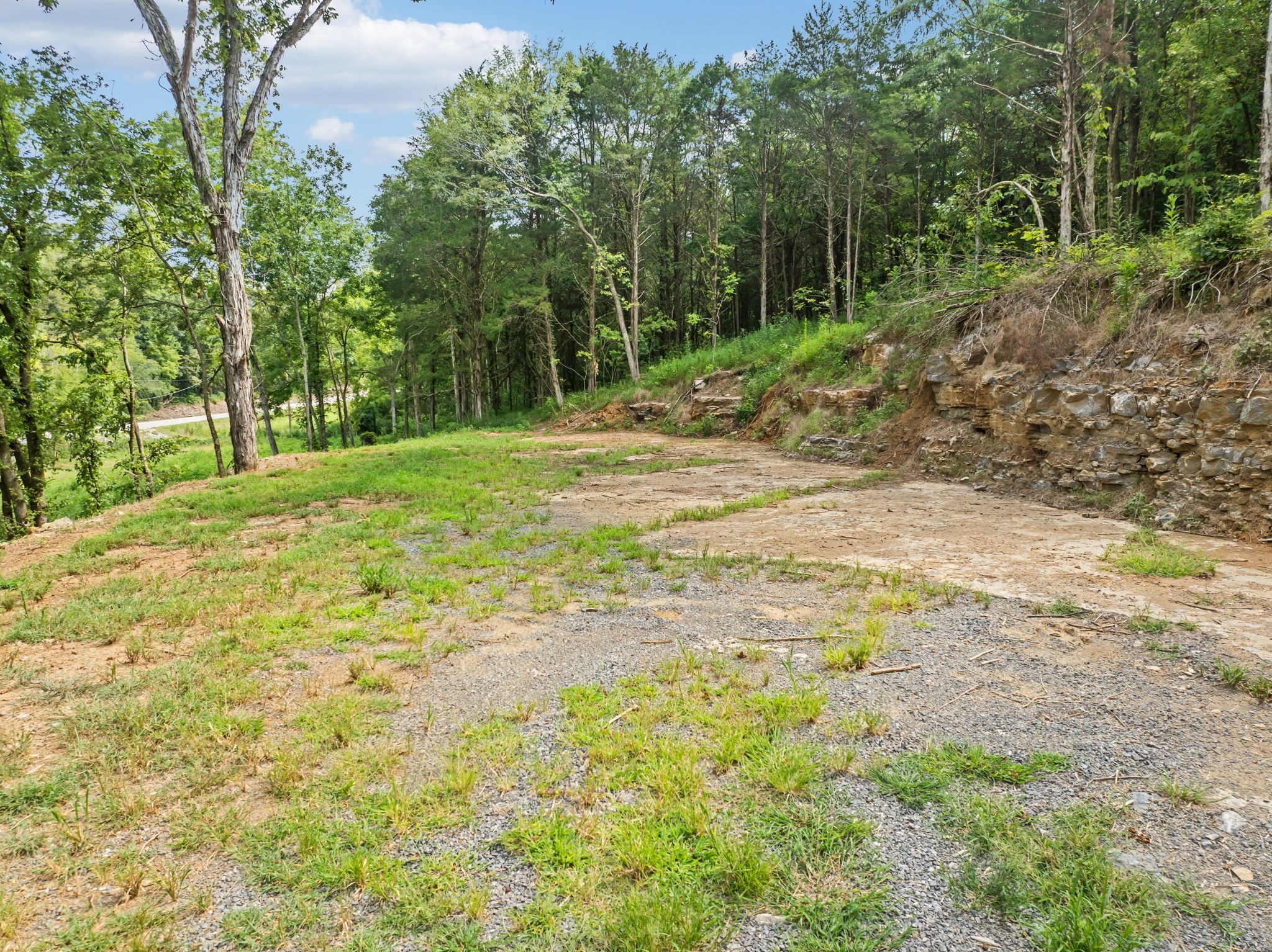 0 Stonewall Highway Carthage, TN 37030 - Photo 6 of 23 a view of a yard with plants and trees