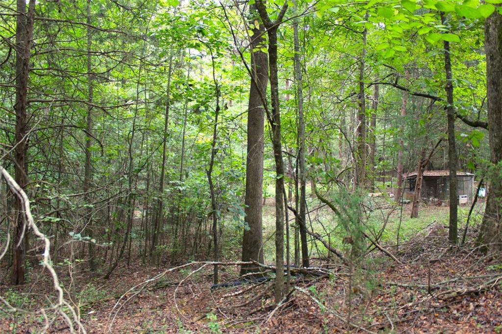 396 Old Harden Orchard Road Commerce, GA 30529 - Photo 18 of 21 a backyard of a house with lots of plants and large trees
