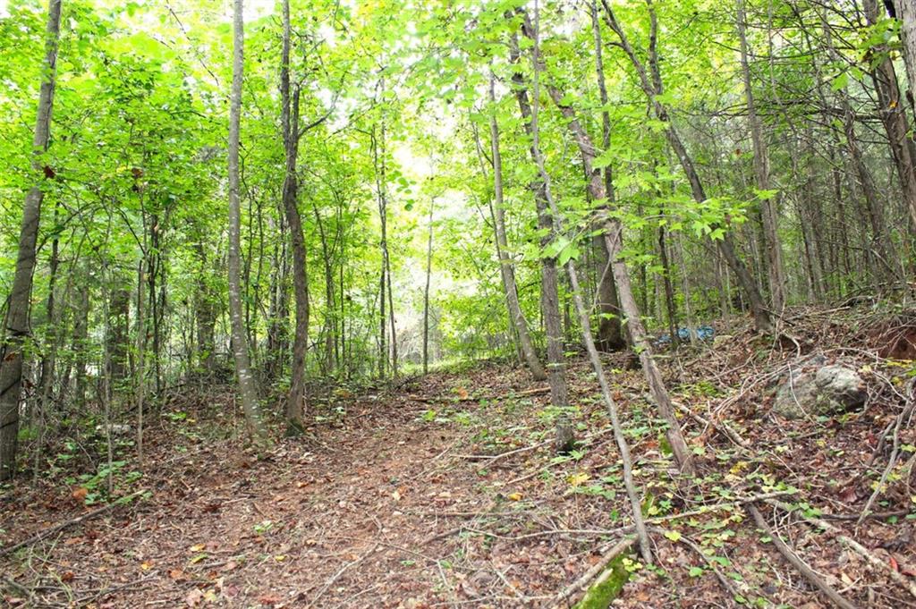 396 Old Harden Orchard Road Commerce, GA 30529 - Photo 19 of 21 a big yard with lots of green space and trees