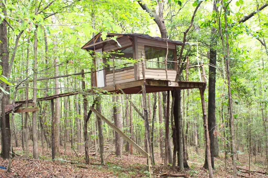 396 Old Harden Orchard Road Commerce, GA 30529 - Photo 20 of 21 a view of outdoor space yard and patio