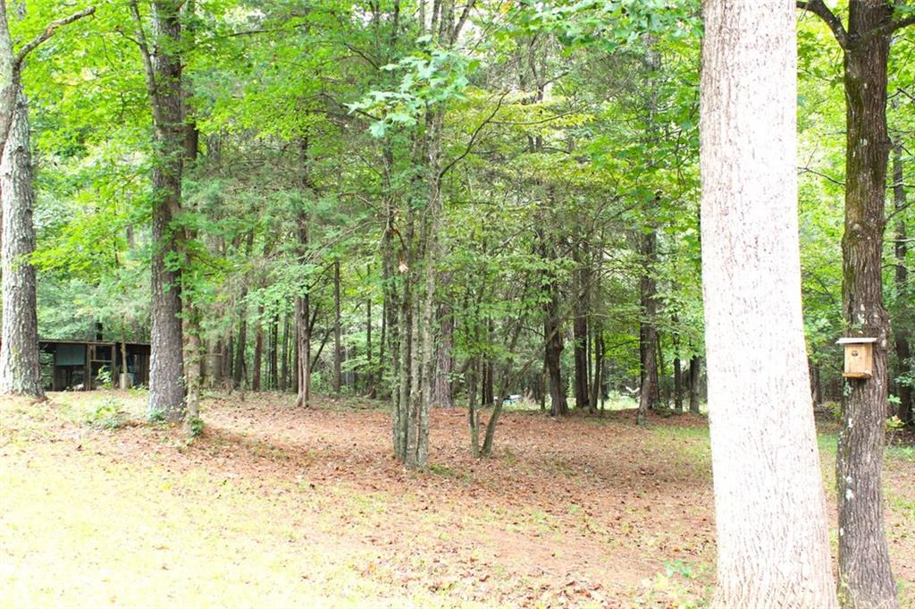 396 Old Harden Orchard Road Commerce, GA 30529 - Photo 4 of 21 a view of outdoor space with trees