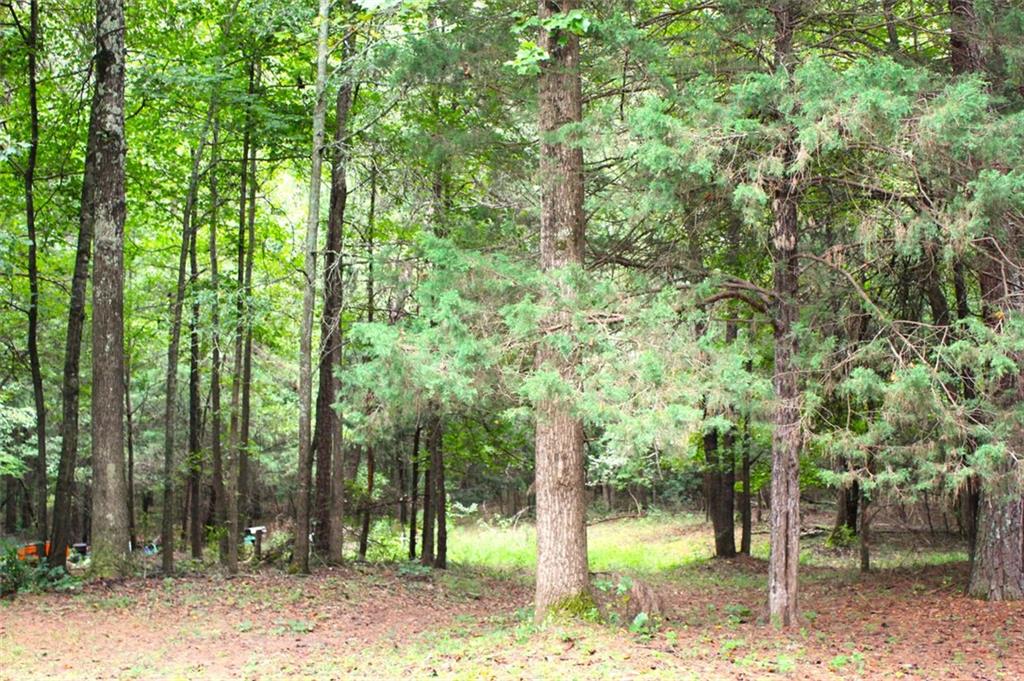396 Old Harden Orchard Road Commerce, GA 30529 - Photo 5 of 21 a view of a tree in the backyard of a house