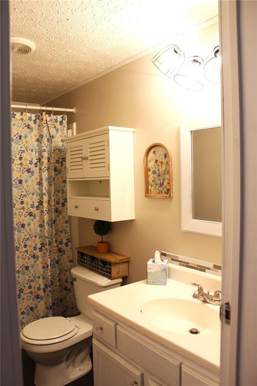 396 Old Harden Orchard Road Commerce, GA 30529 - Photo 7 of 21 a bathroom with a sink a toilet and shower curtain