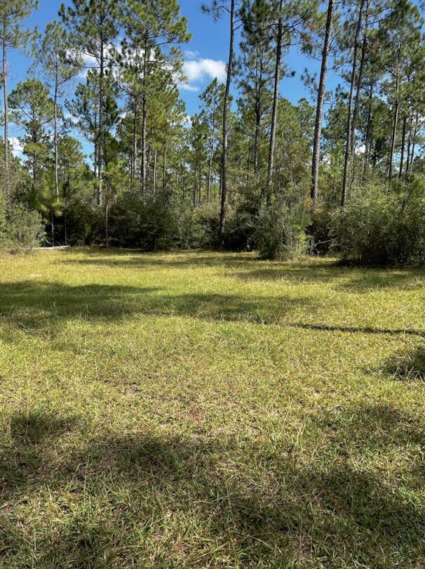 5 West A W Chapel Road Laurel Hill, FL 32567 - Photo 14 of 14 a view of a yard
