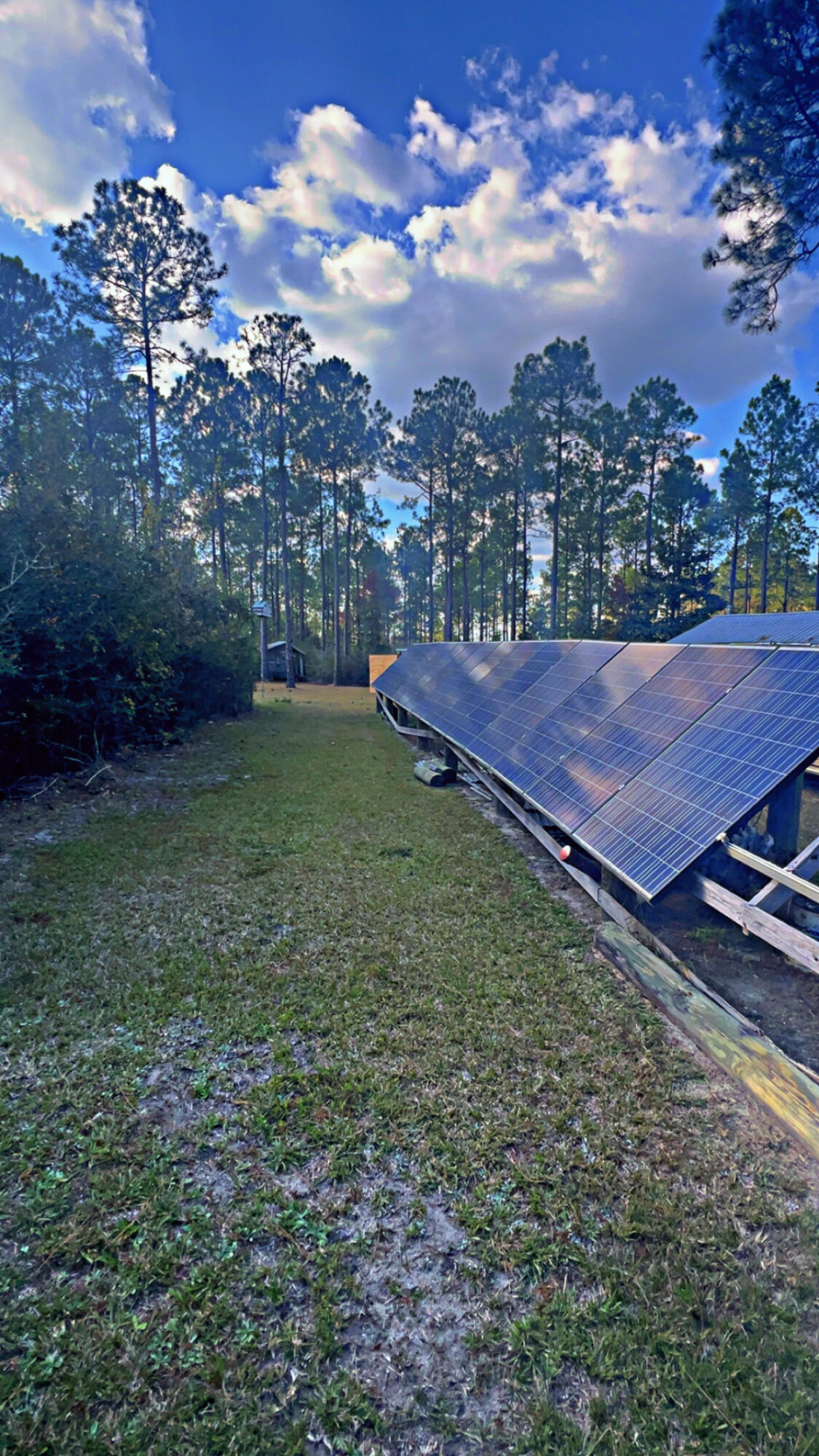 5 West A W Chapel Road Laurel Hill, FL 32567 - Photo 5 of 14 a view of a field with a big yard