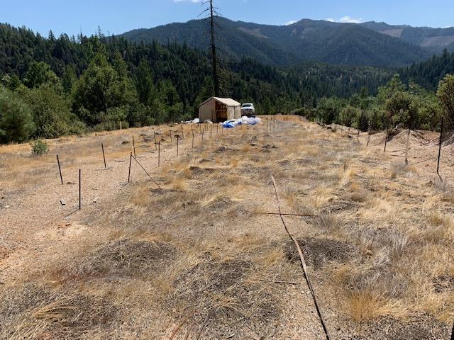 15149 Ca-3 Road Hayfork, CA 96041 - Photo 1 of 1