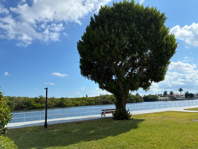 a view of lake with tree