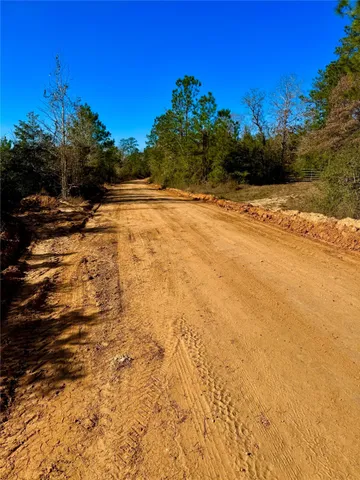$295,000 | 2845 County Road, Colmesneil, TX 75938
