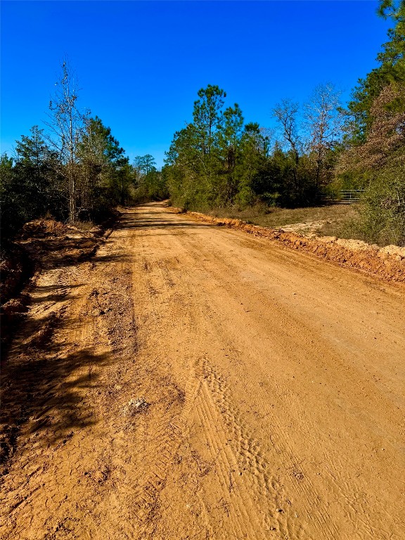 2845 County Road Colmesneil, TX 75938 - Photo 1 of 36 a view of a yard with a house
