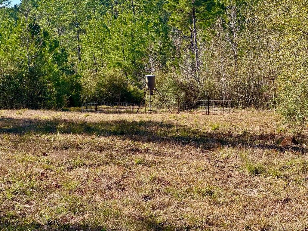 2845 County Road Colmesneil, TX 75938 - Photo 11 of 36 a view of a lake view
