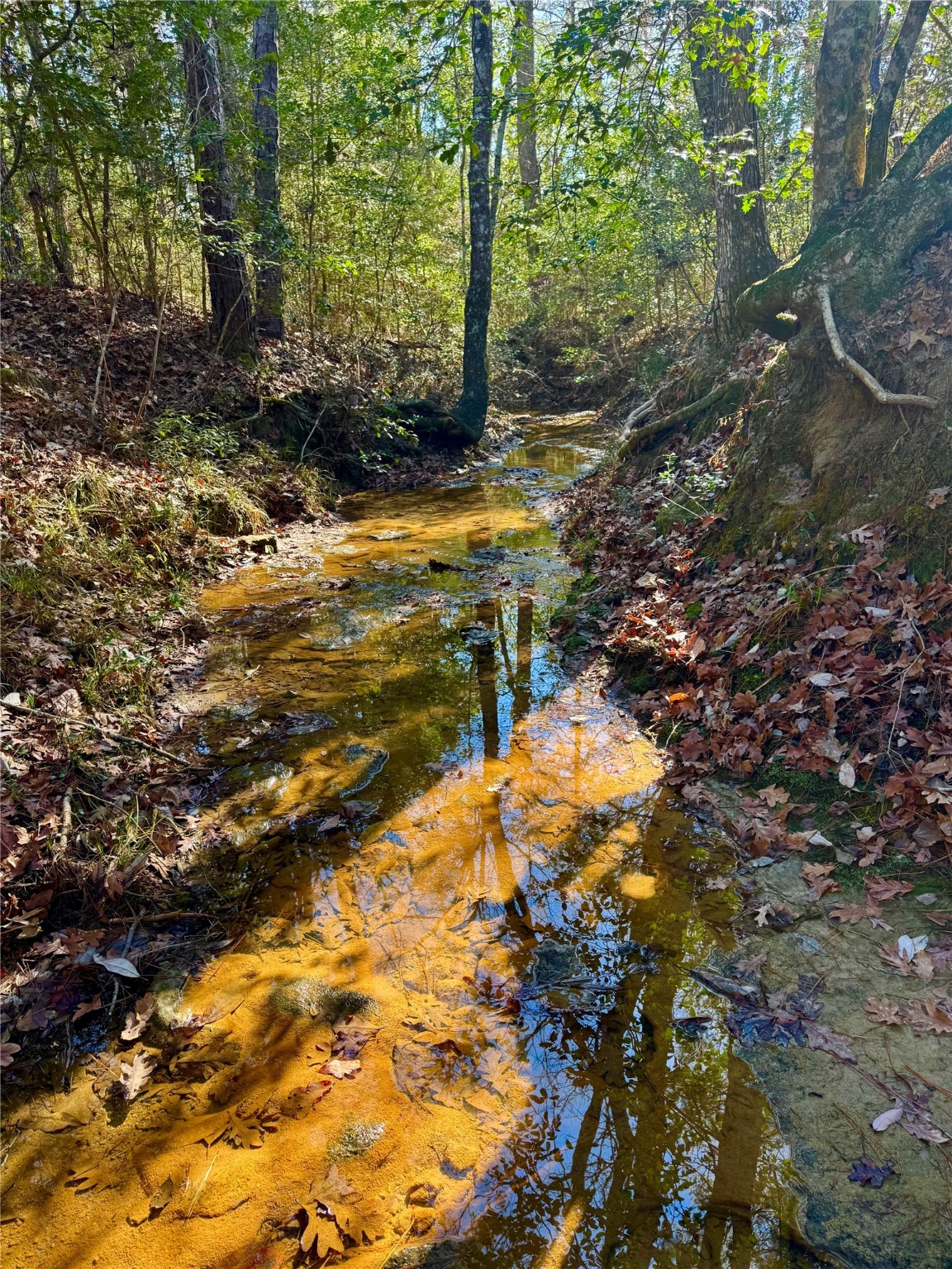 2845 County Road Colmesneil, TX 75938 - Photo 16 of 36