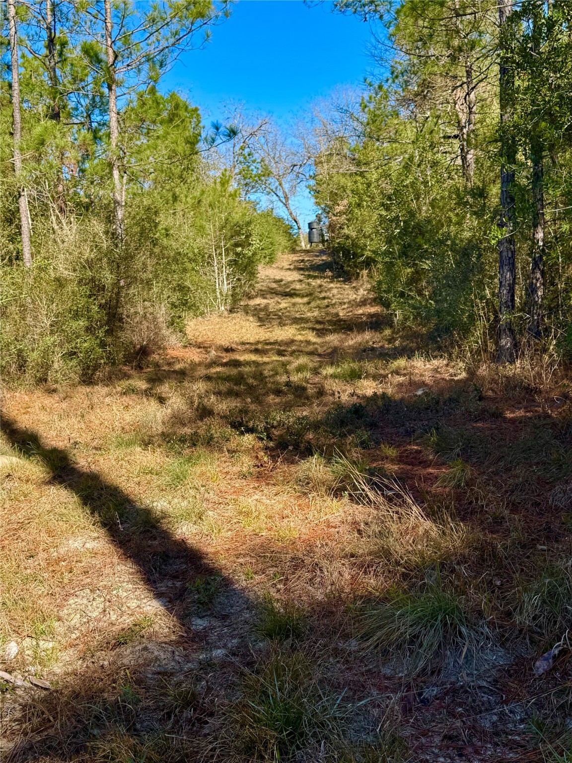 2845 County Road Colmesneil, TX 75938 - Photo 18 of 36