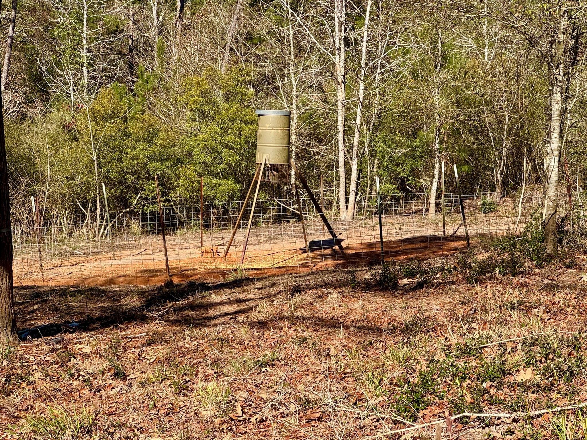 2845 County Road Colmesneil, TX 75938 - Photo 19 of 36