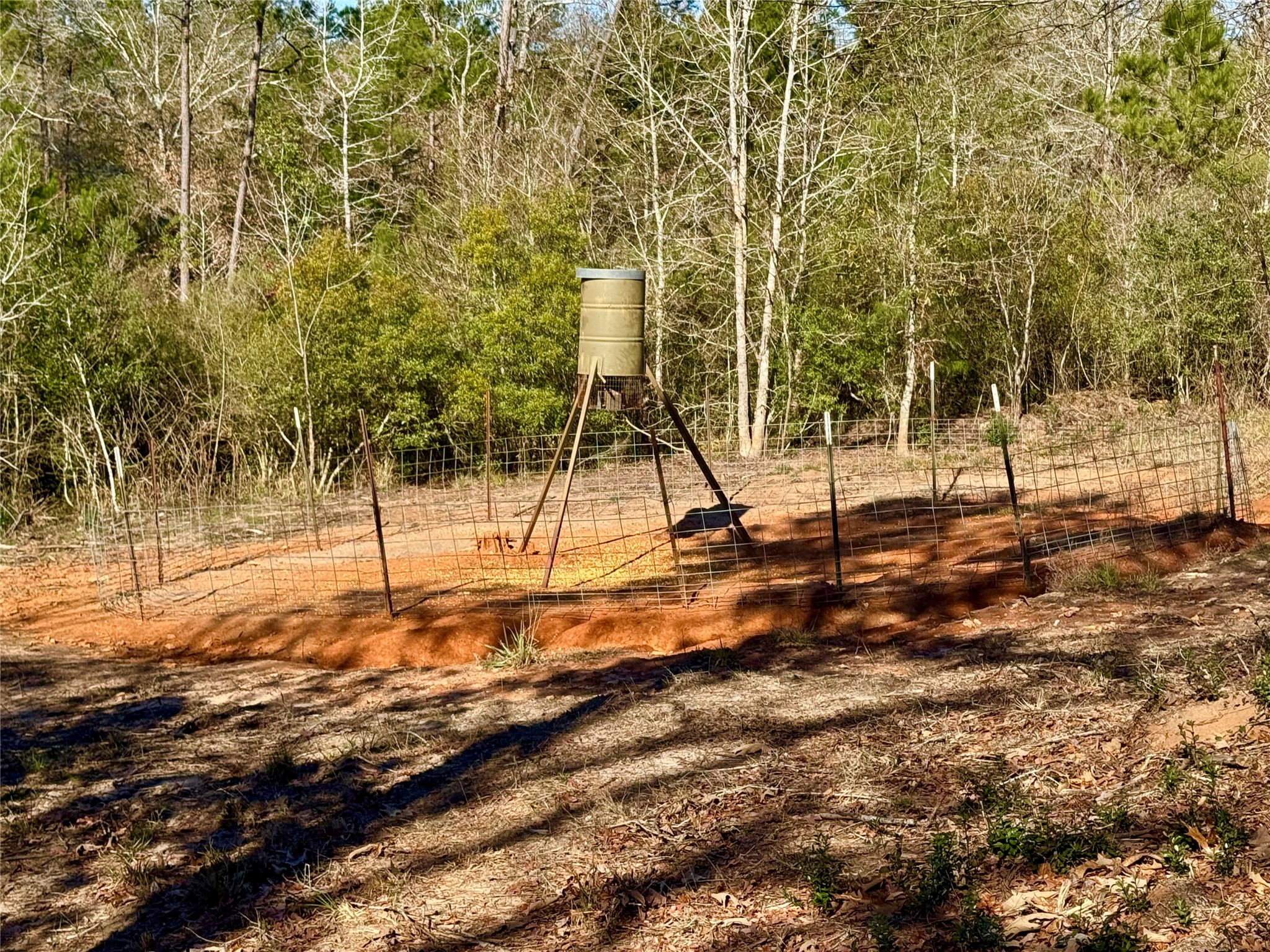 2845 County Road Colmesneil, TX 75938 - Photo 20 of 36 a view of a yard with trees