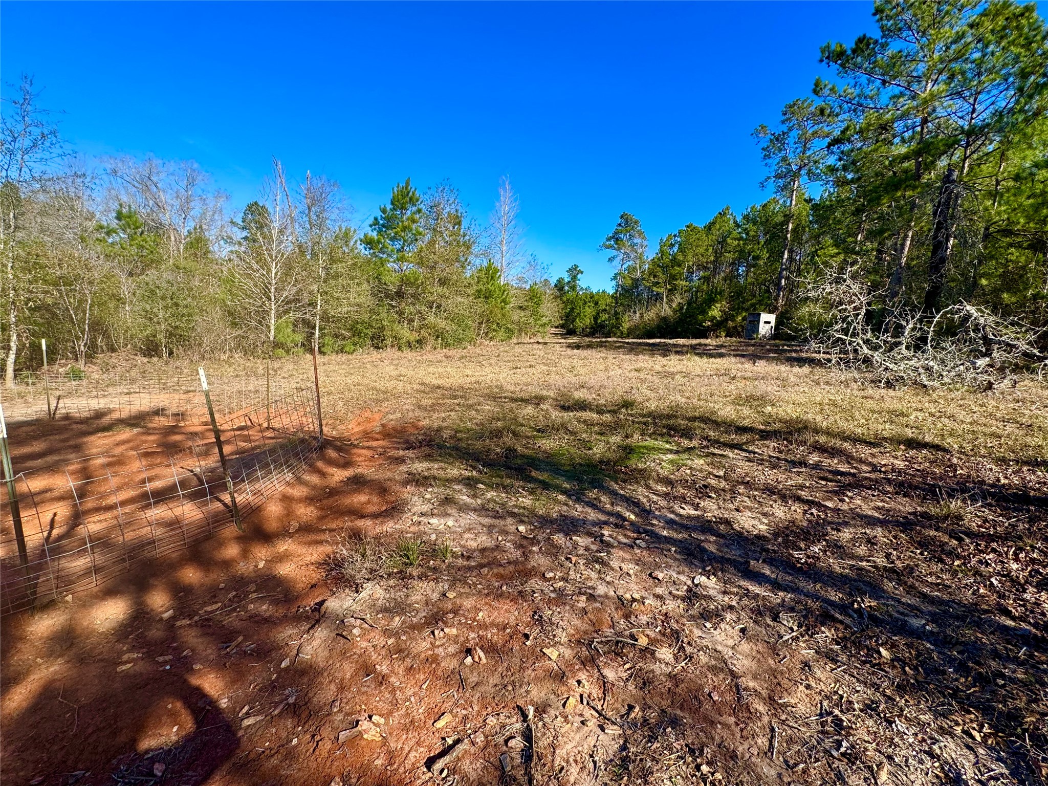 2845 County Road Colmesneil, TX 75938 - Photo 22 of 36 a view of a yard with trees in the background