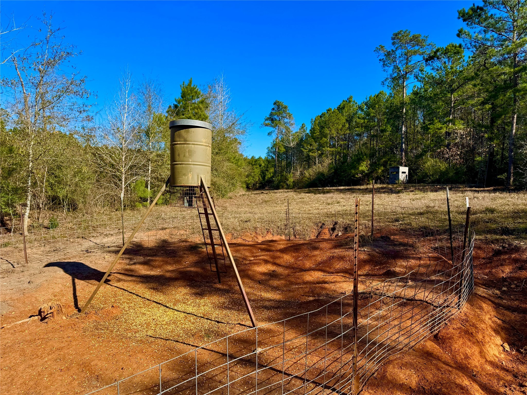 2845 County Road Colmesneil, TX 75938 - Photo 23 of 36