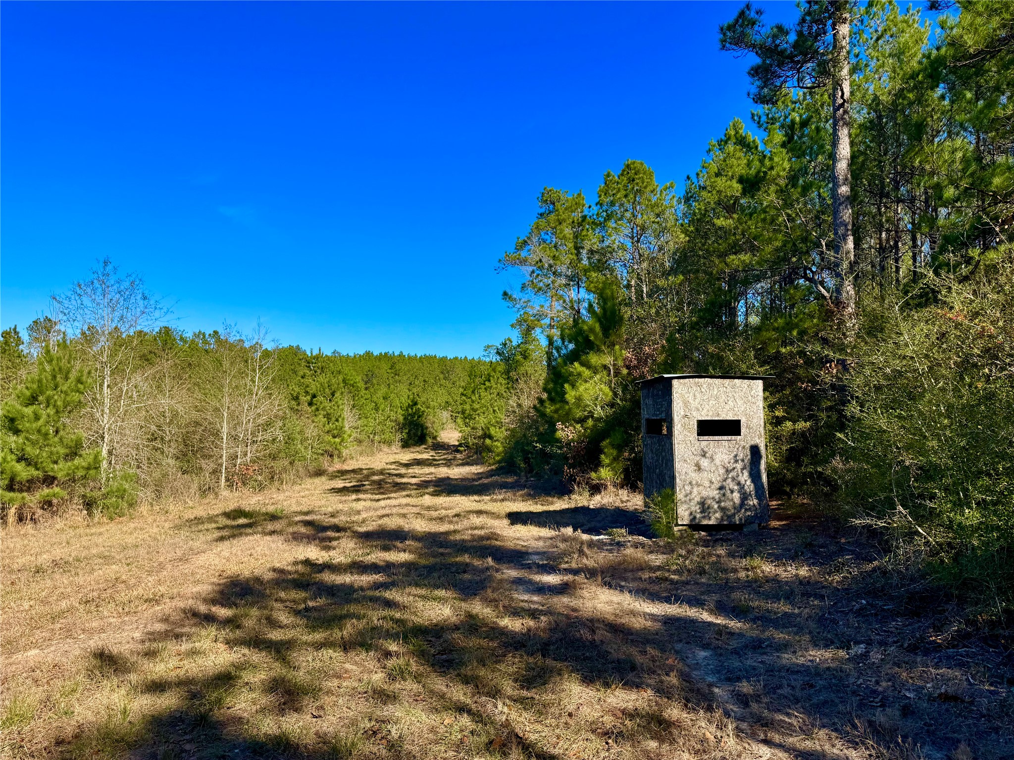 2845 County Road Colmesneil, TX 75938 - Photo 24 of 36 a view of a road with a building in the background