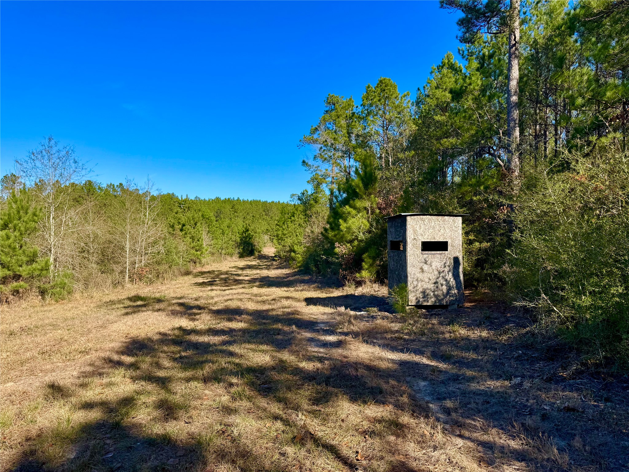 2845 County Road Colmesneil, TX 75938 - Photo 25 of 36 a view of a outdoor space