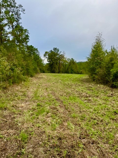 2845 County Road Colmesneil, TX 75938 - Photo 26 of 36