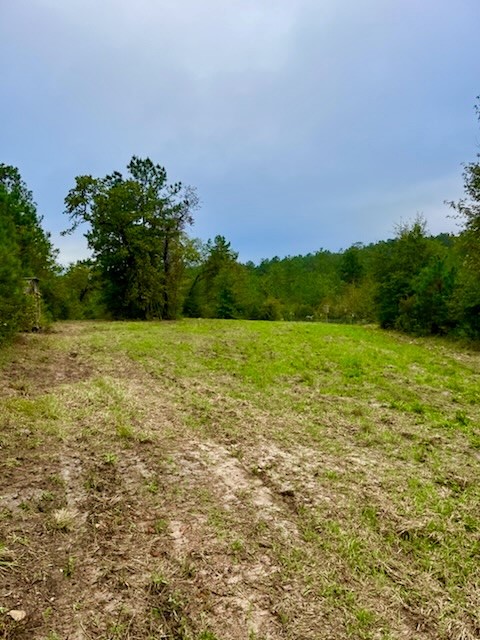 2845 County Road Colmesneil, TX 75938 - Photo 27 of 36