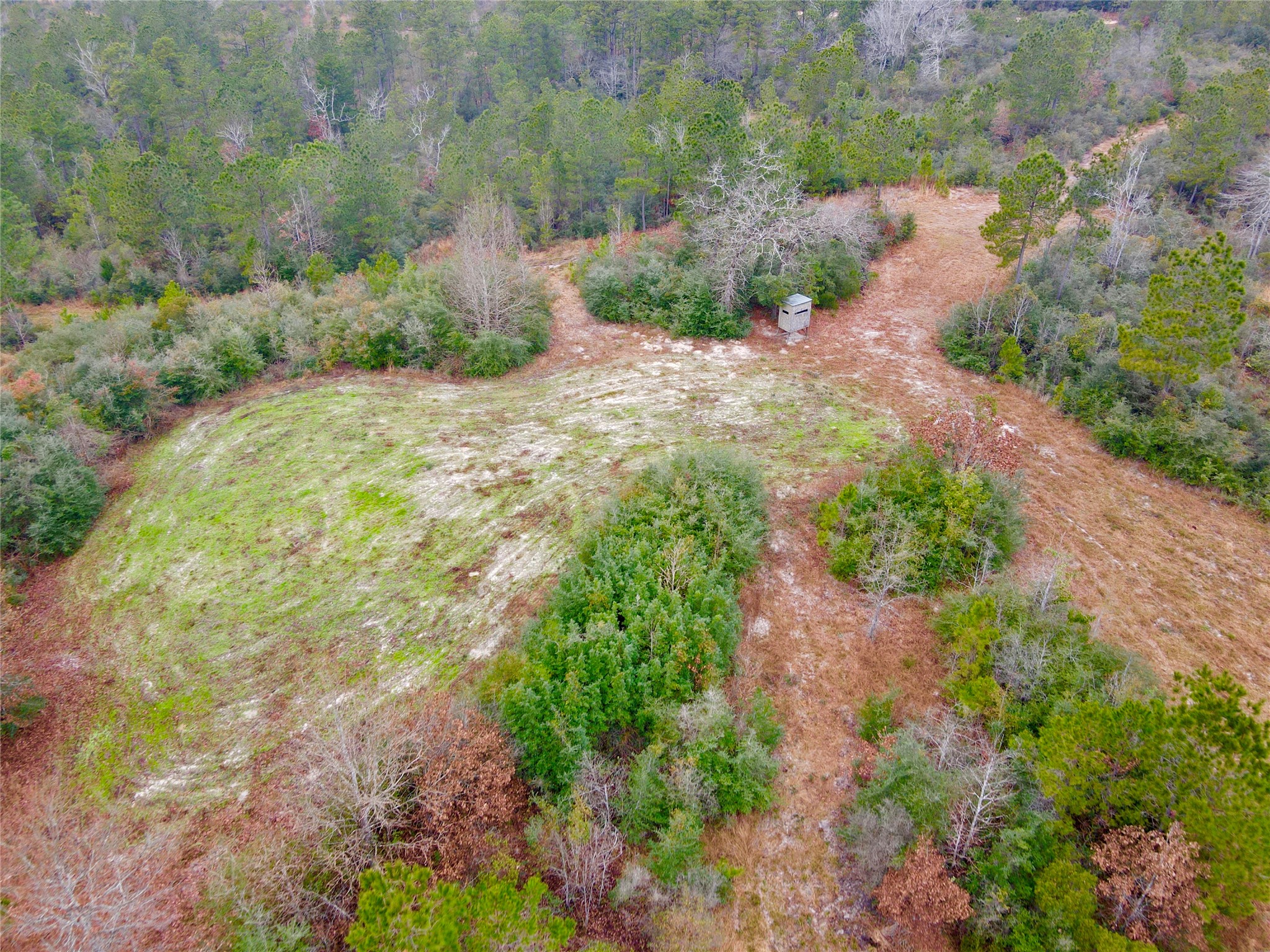 2845 County Road Colmesneil, TX 75938 - Photo 30 of 36 a view of a pathway with a yard