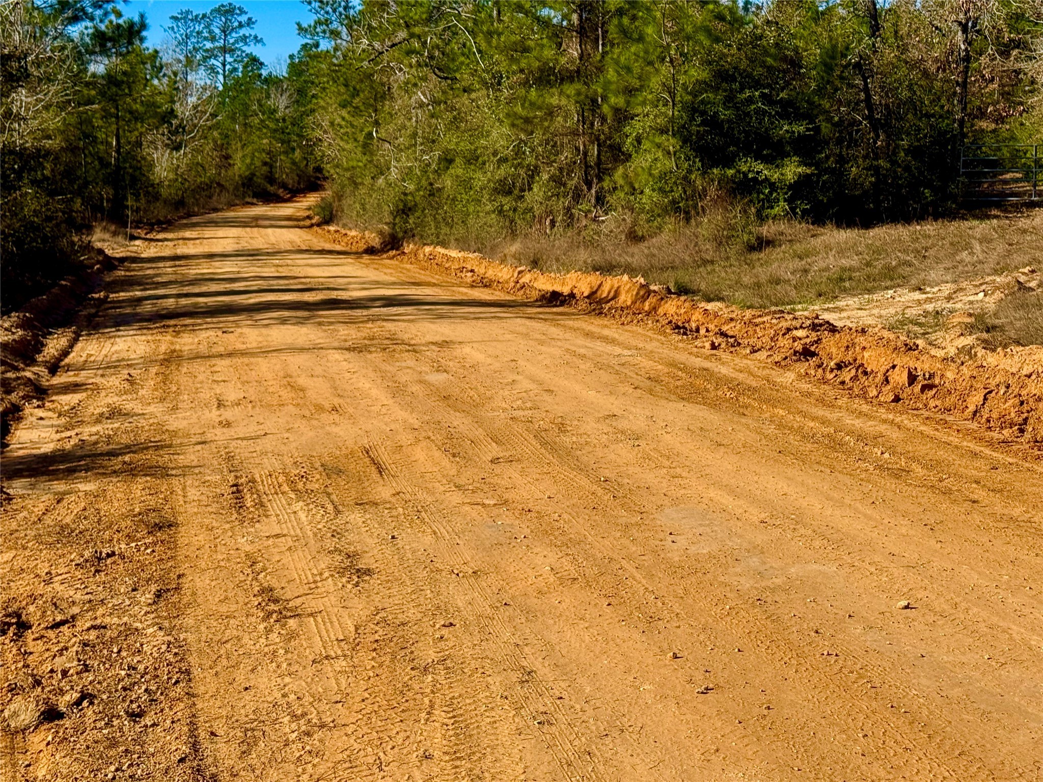 2845 County Road Colmesneil, TX 75938 - Photo 3 of 36