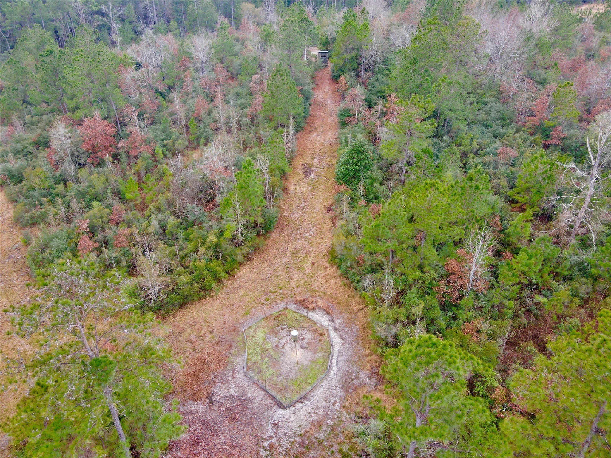 2845 County Road Colmesneil, TX 75938 - Photo 33 of 36