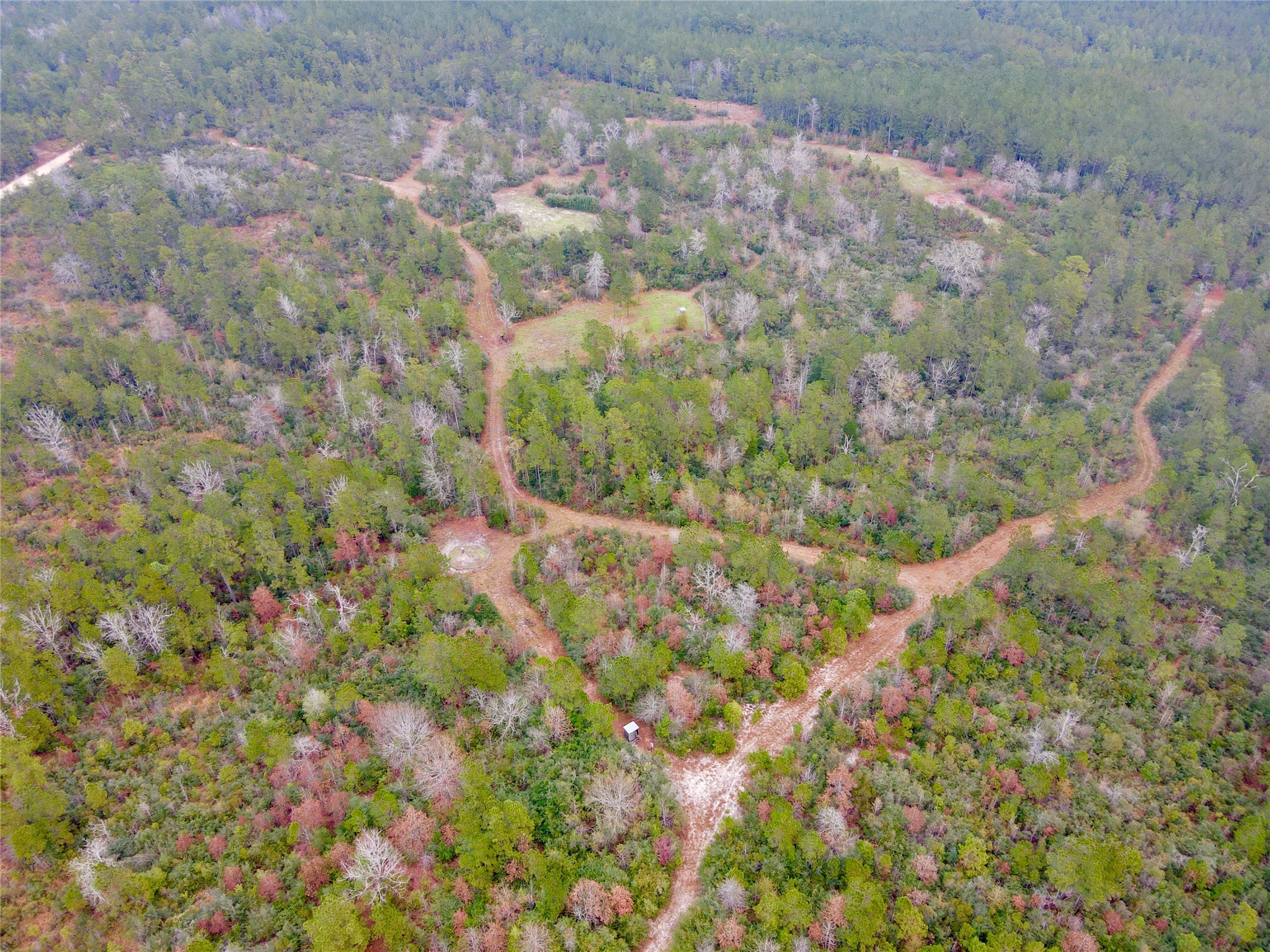 2845 County Road Colmesneil, TX 75938 - Photo 34 of 36