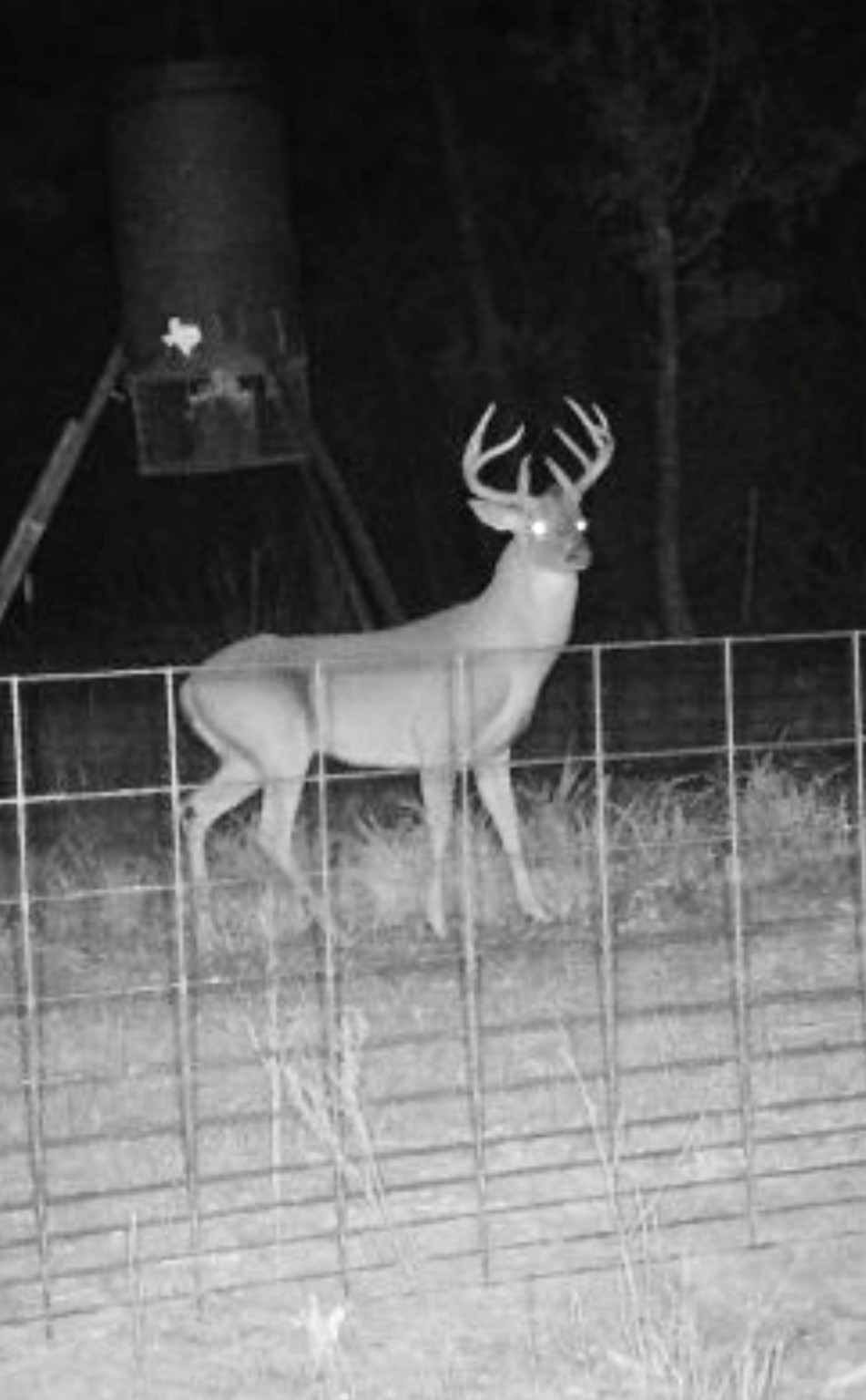 2845 County Road Colmesneil, TX 75938 - Photo 35 of 36