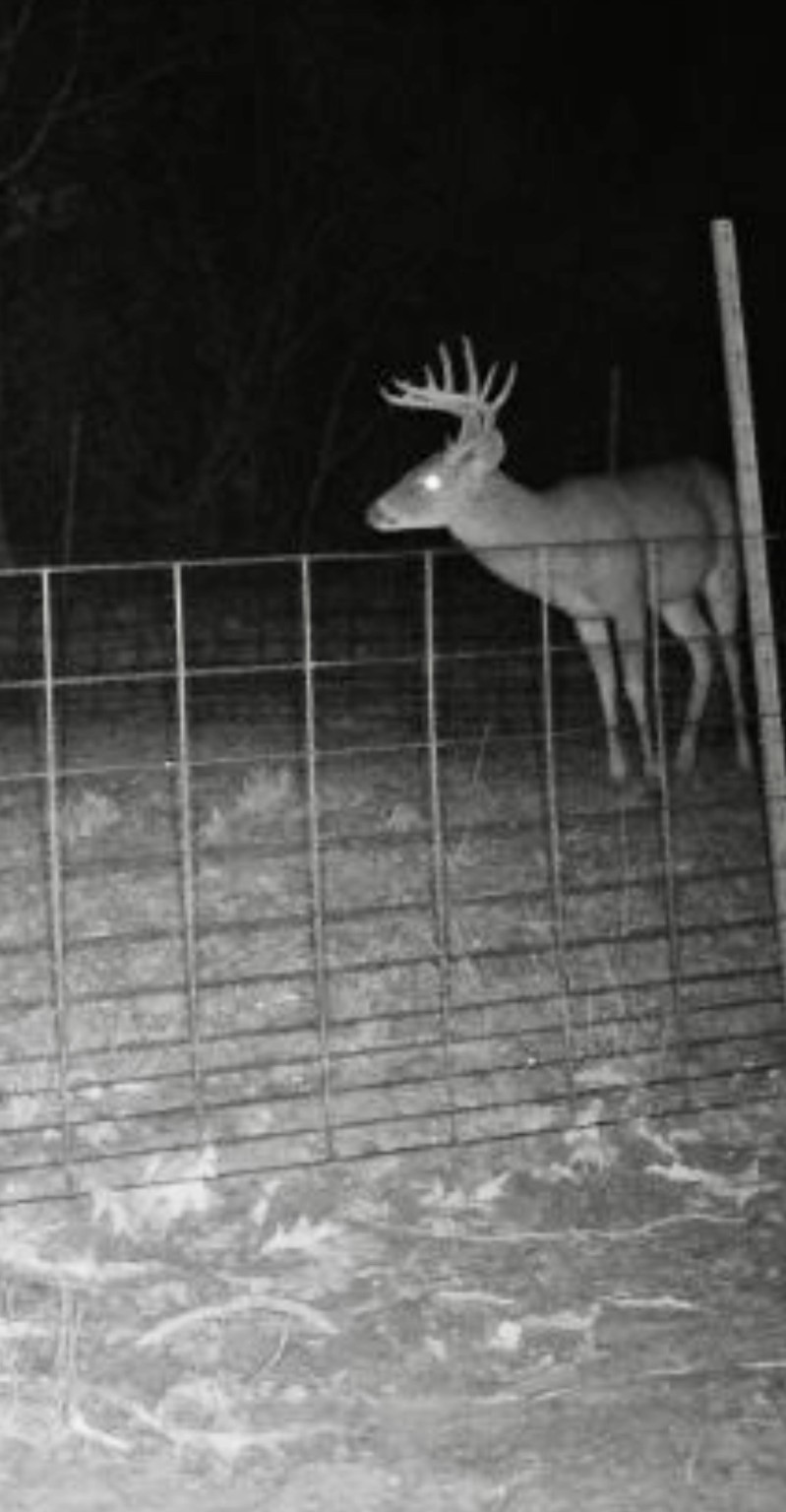 2845 County Road Colmesneil, TX 75938 - Photo 36 of 36