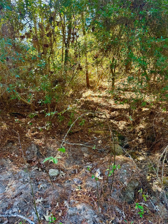 2845 County Road Colmesneil, TX 75938 - Photo 8 of 36 a backyard of a house