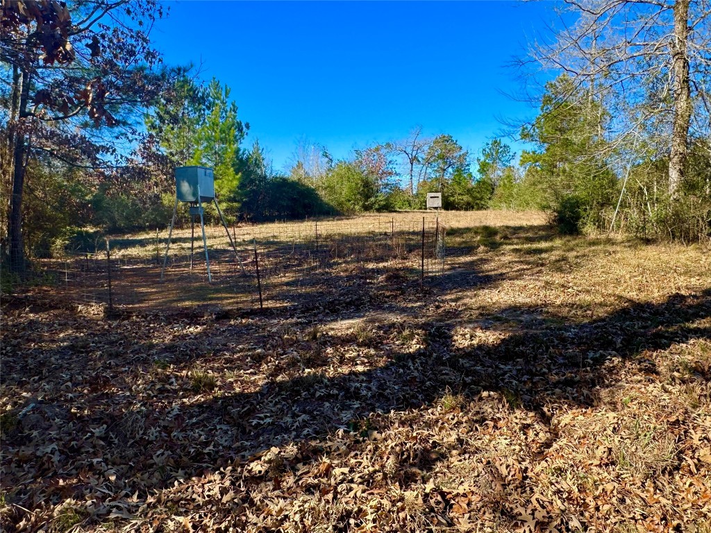 2845 County Road Colmesneil, TX 75938 - Photo 9 of 36 a view of a yard with trees