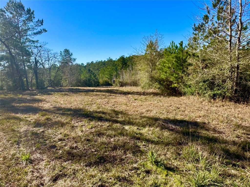 2845 County Road Colmesneil, TX 75938 - Photo 10 of 36