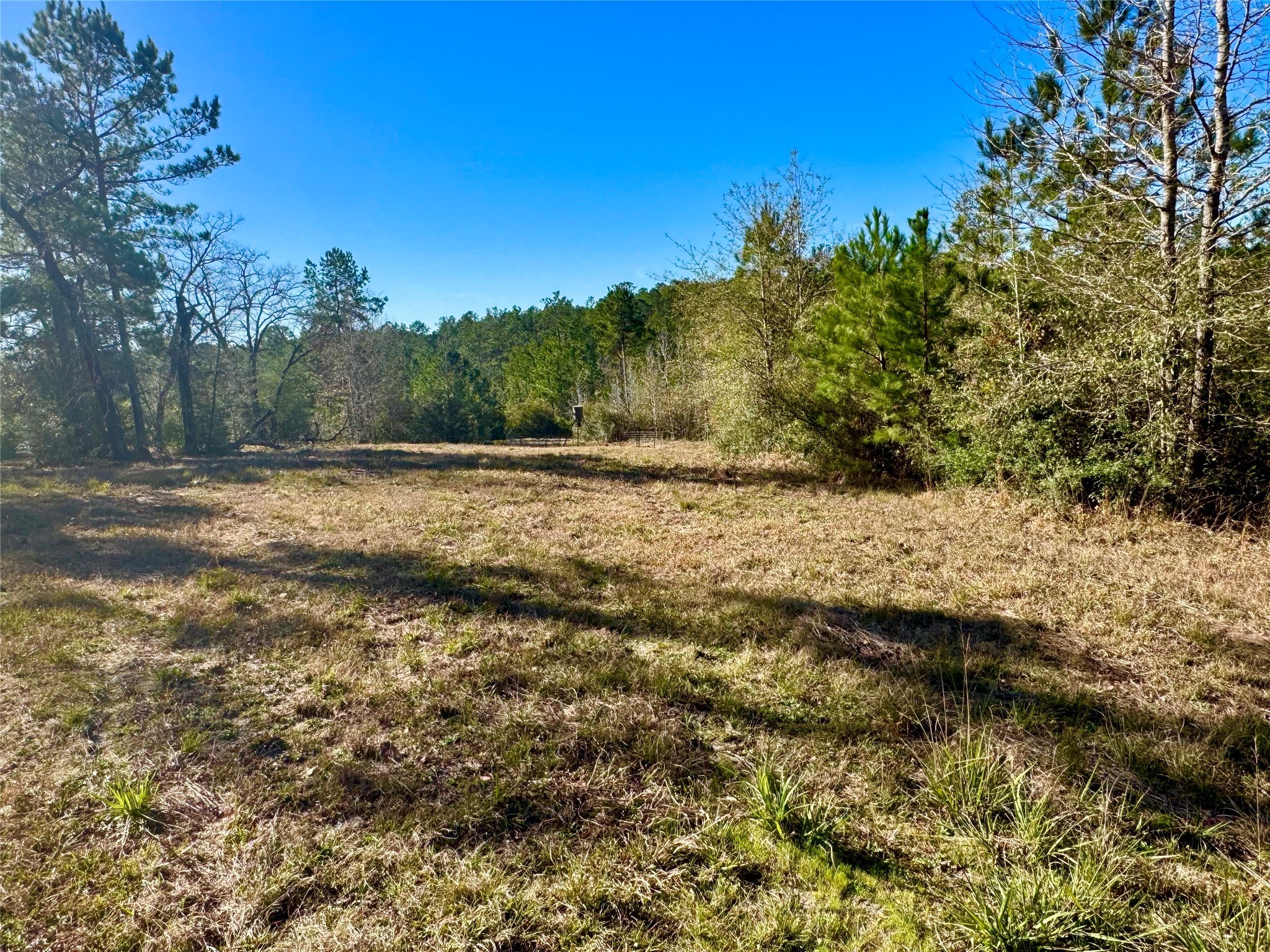 2845 County Road Colmesneil, TX 75938 - Photo 10 of 36