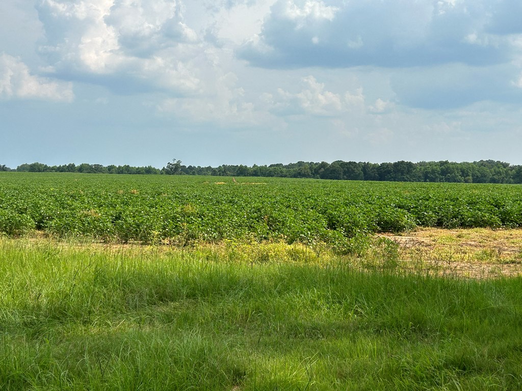 132.3-ac Green Road Dothan, AL 36303 - Photo 42 of 63