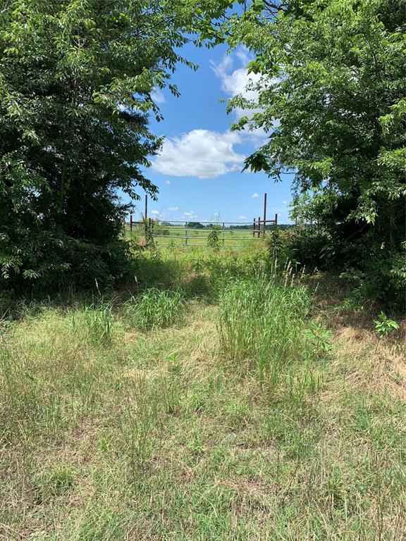 0 State Highway Mabank, TX 75147 - Photo 2 of 14 a view of a garden