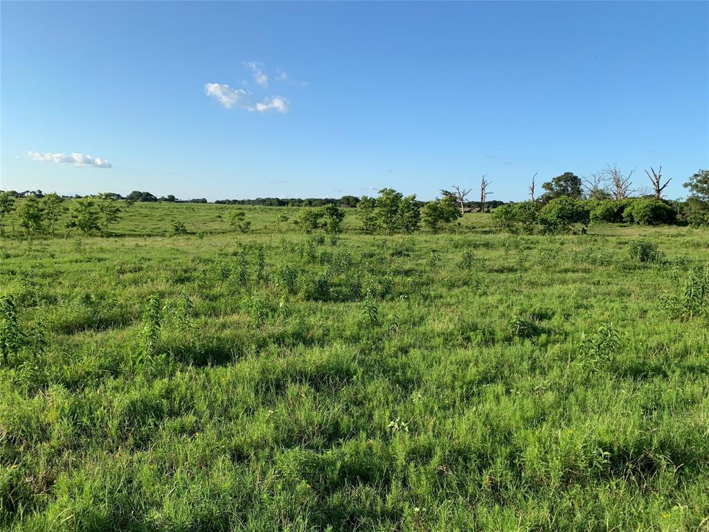 0 State Highway Mabank, TX 75147 - Photo 4 of 14 a view of a green field with lots of bushes