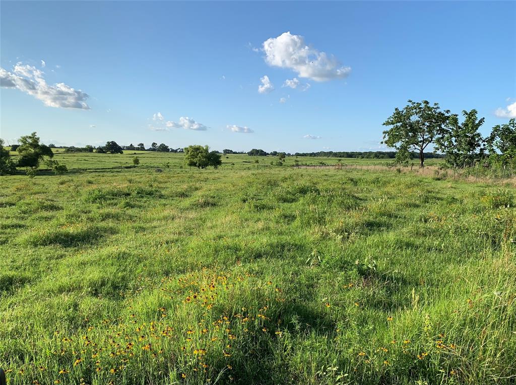 0 State Highway Mabank, TX 75147 - Photo 8 of 14 a view of a green field