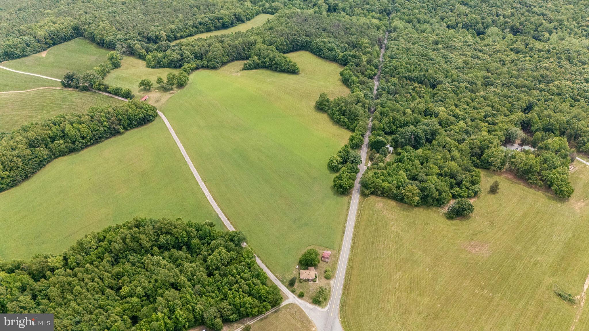 1440 Holly Farm Road Burkeville, VA 23922 - Photo 44 of 52 Lush green fields meet serene woodlands.