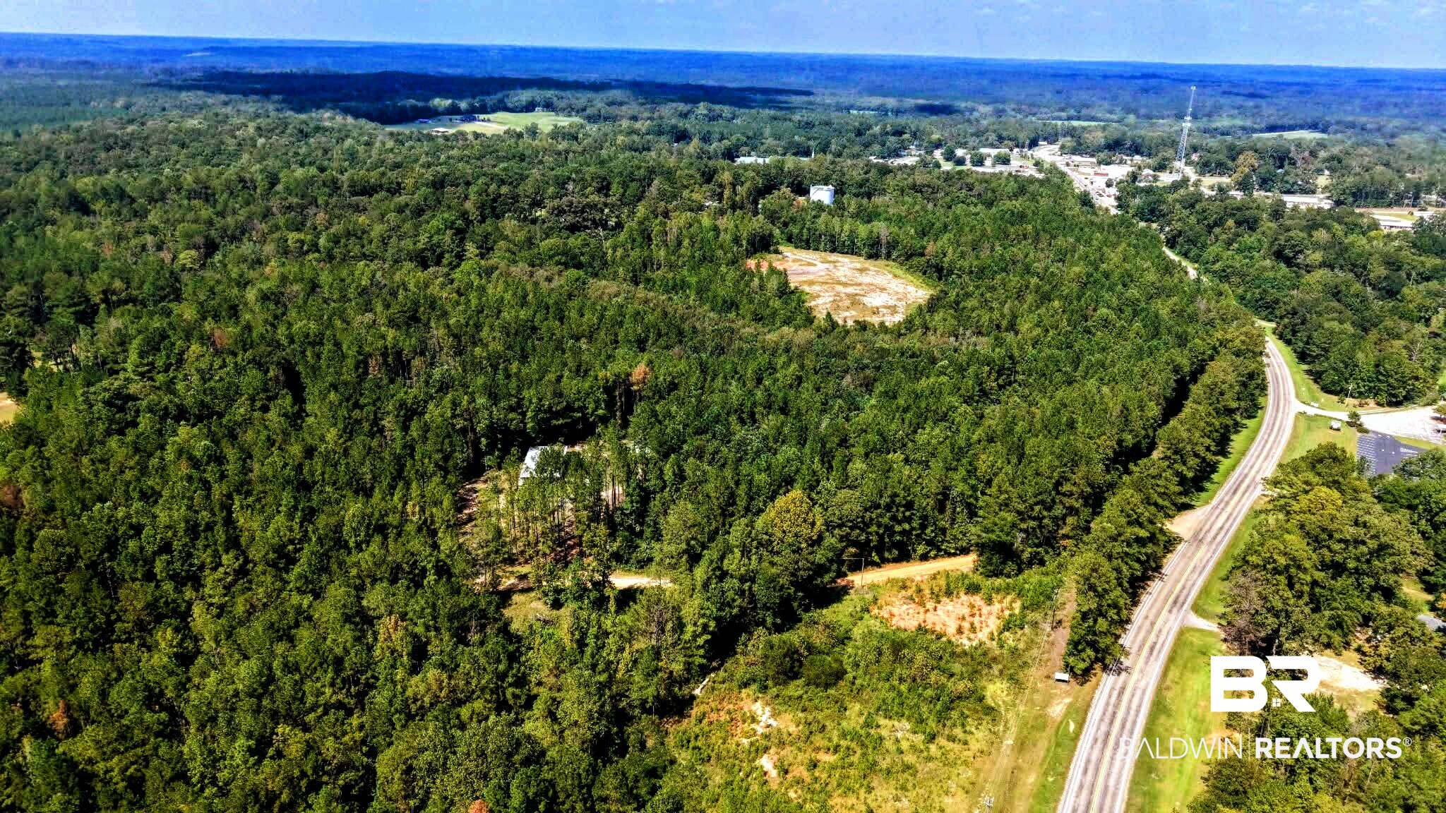 0 Pheasant Road Gilbertown, AL 36908 - Photo 1 of 31 Gallery Image 1