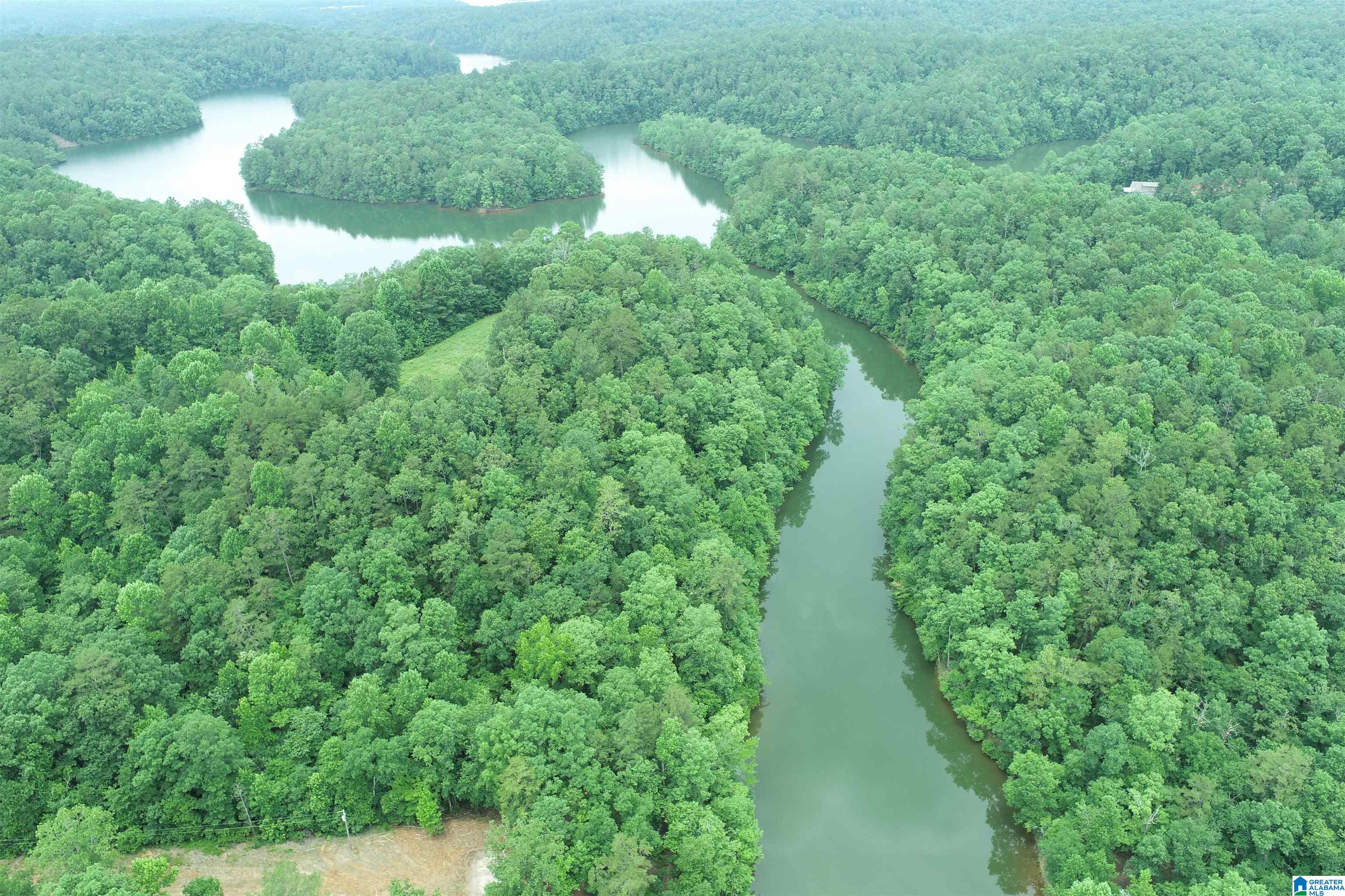 0 County Road 803, Unit 33 Wedowee, AL 36278 - Photo 5 of 14