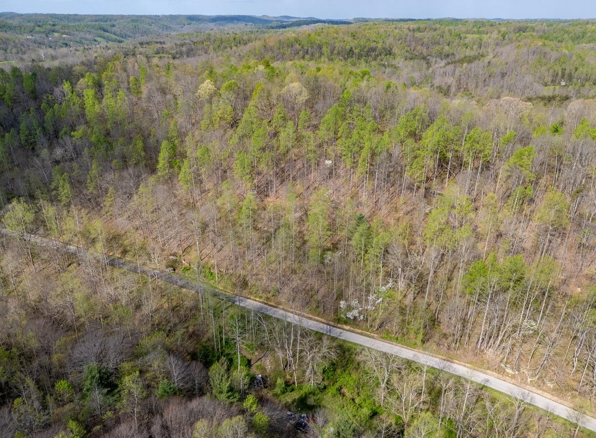 0 Brinegar Road Olive Hill, KY 40351 - Photo 1 of 10
