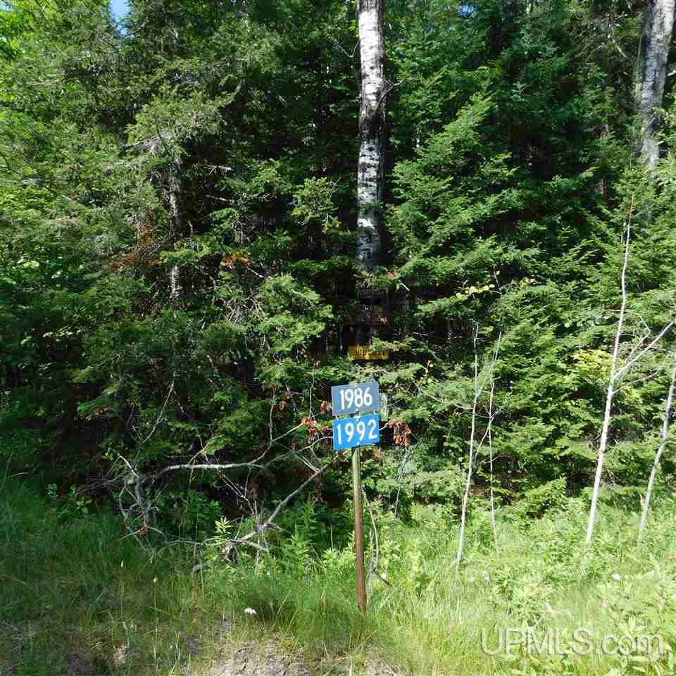 Tbd Off Camp 5 Road Crystal Falls, MI 49920 - Photo 30 of 31 Gallery Image 30