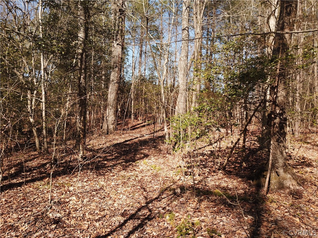 388 Wilson Road Brodnax, VA 23920 - Photo 11 of 12 Gallery Image 11