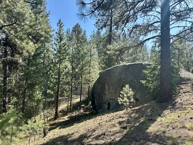 $199,000 | 37 Stanley Drive, Unit 12, Cascade, ID 83611