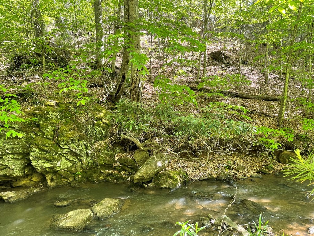 2806 Duncan Mill Road Dugspur, VA 24325 - Photo 17 of 22 Gallery Image 17