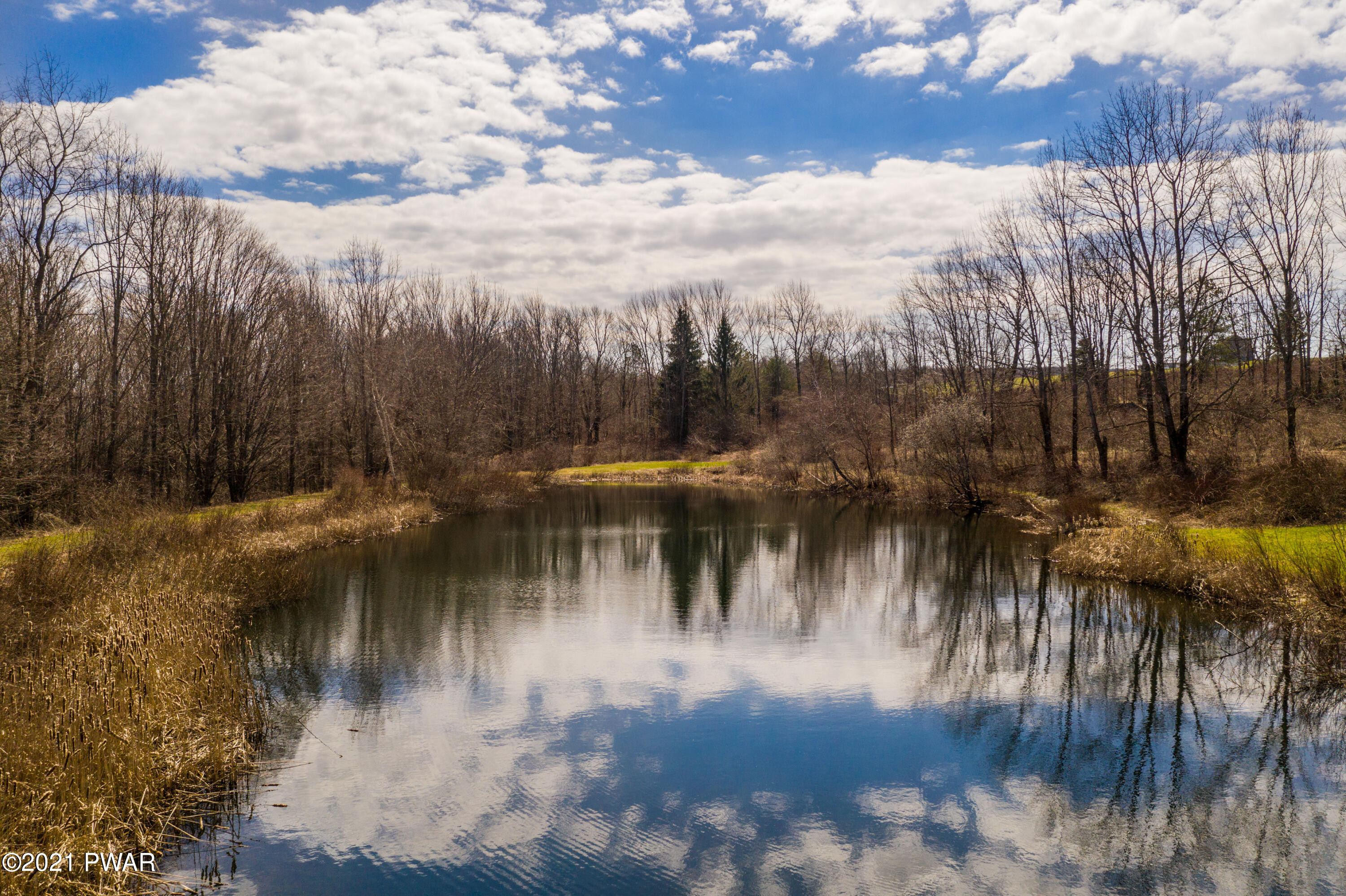 Pond