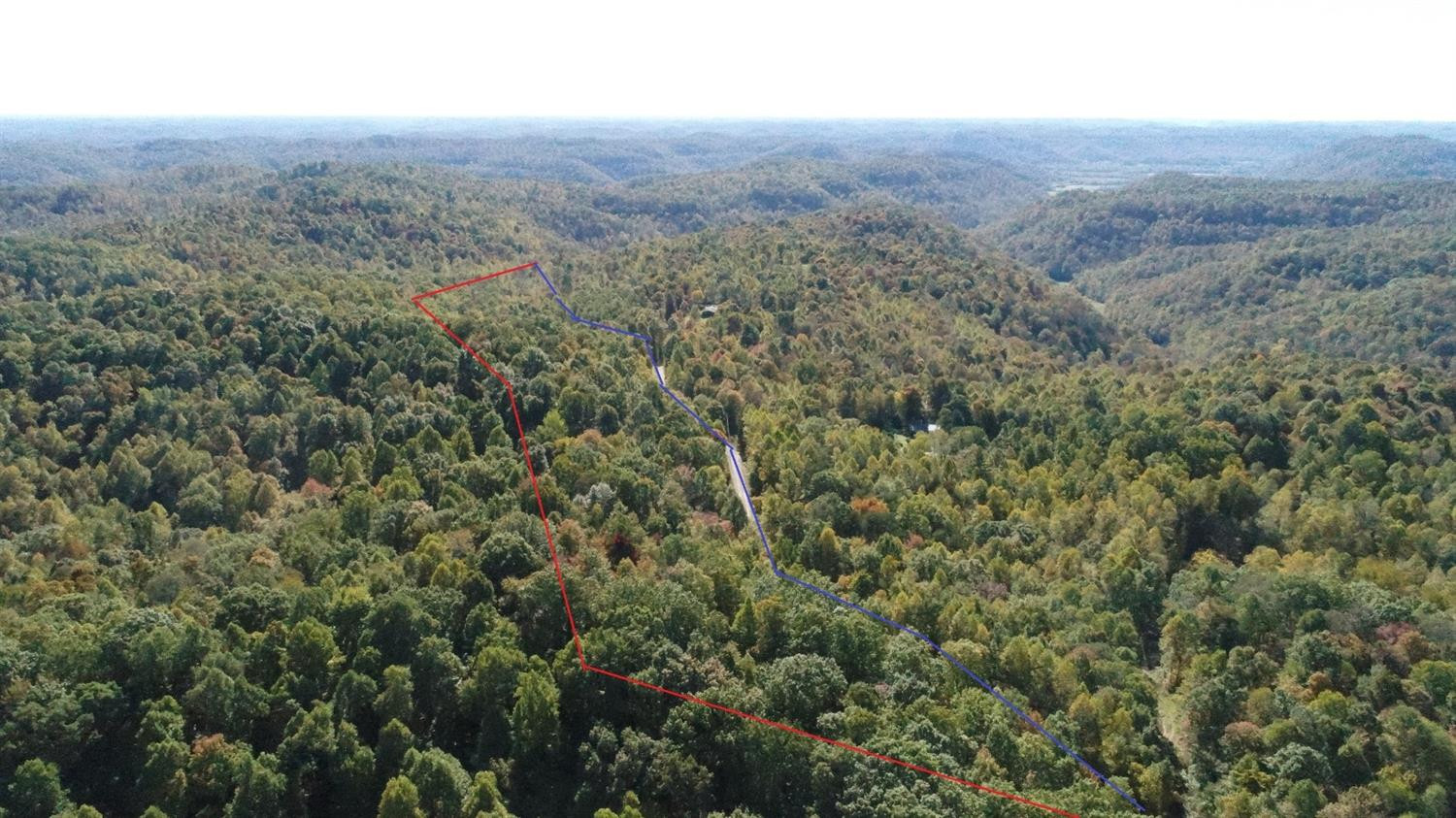 9999 Flinchum Ridge Road Irvine, KY 40336 - Photo 2 of 14 Approximate property lines! The blue li