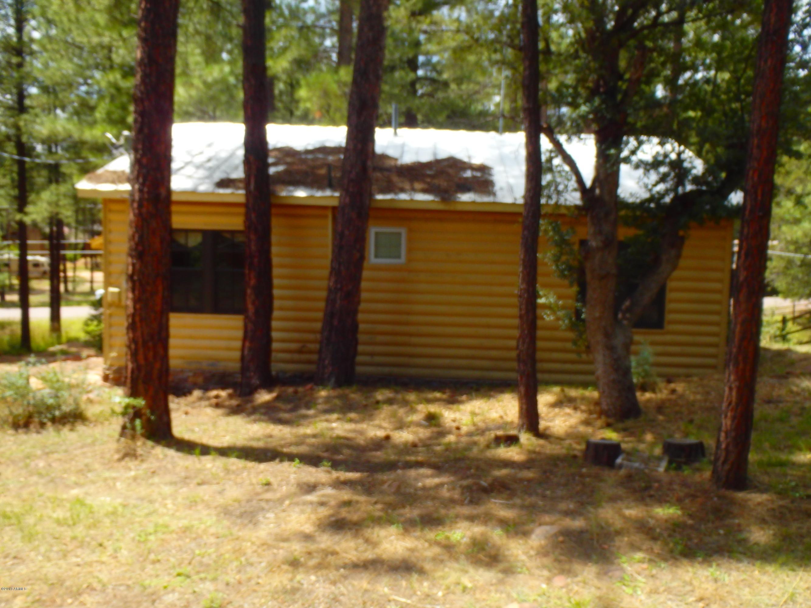 5151 Rim Wood Road Strawberry, AZ 85544 - Photo 9 of 36 P8140103